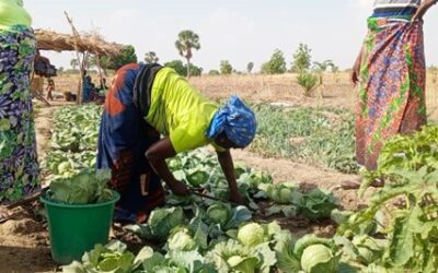 AUTONOMISER LES FEMMES POUR UN AVENIR DURABLE